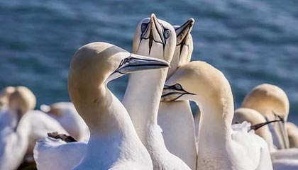 巴拿马裁定合同违宪 李嘉诚的港口不能卖了