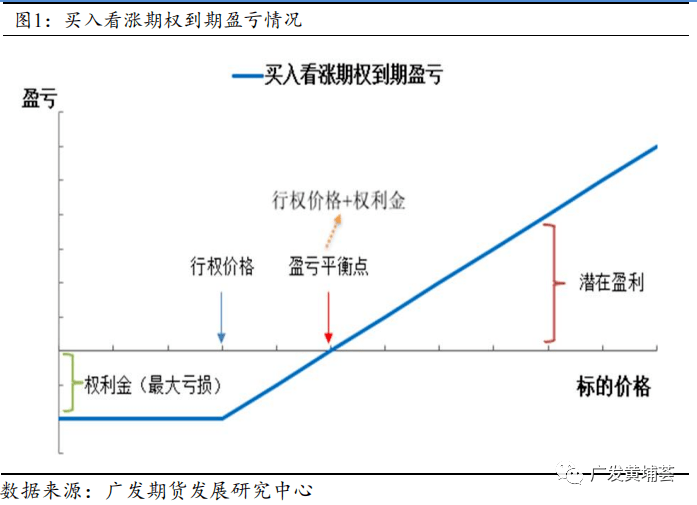 豆类期权合约规则详解及期权交易策略应用