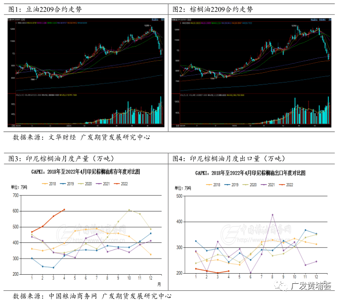 当前棕榈油走势分析及操作建议
