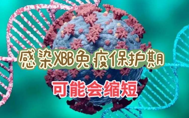 《三体》开播破纪录 / 比特币迎来九连涨