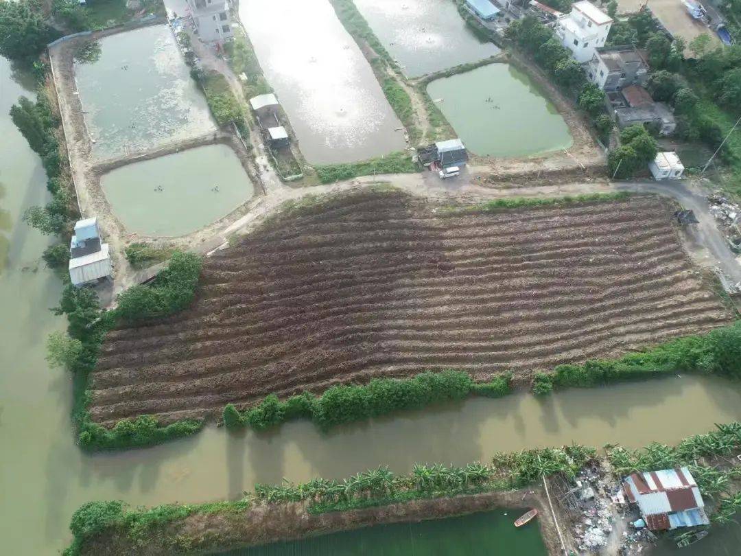 判案：挖个鱼塘养鱼<strong></p>
<p>怎么挖比特币</strong>，怎么就违法了？提醒，这事干不得！