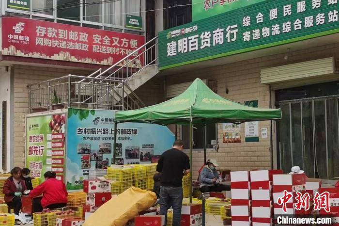 甘肃畅通1600余条“邮”路：“村村通邮”服务全覆盖