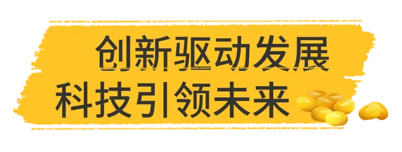 山西人舌尖上的豆品传奇<strong></p>
<p>传奇</strong>，原来是它！