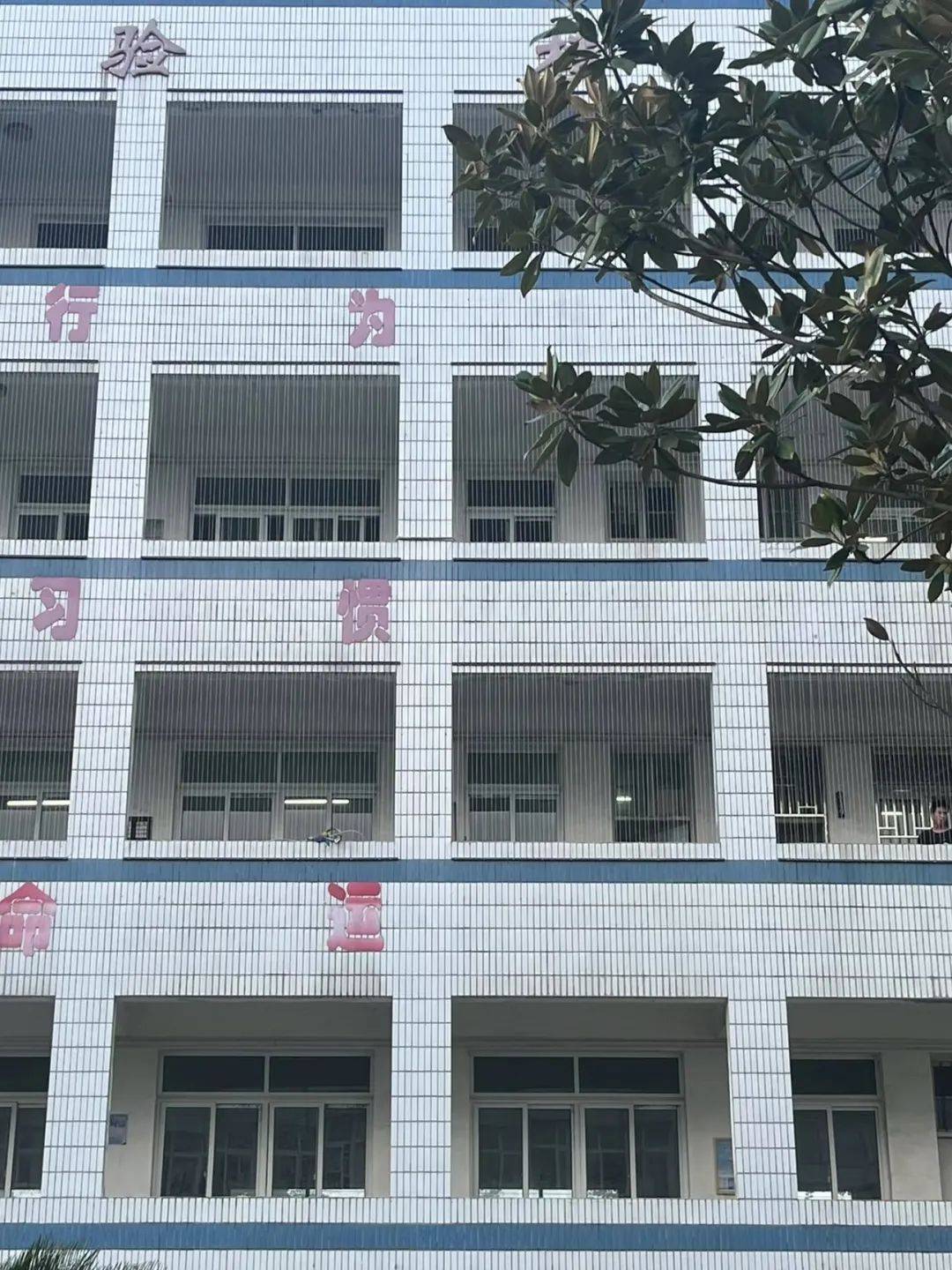 校园铁丝网<strong></p>
<p>币托网</strong>，能托住下坠的孩子吗