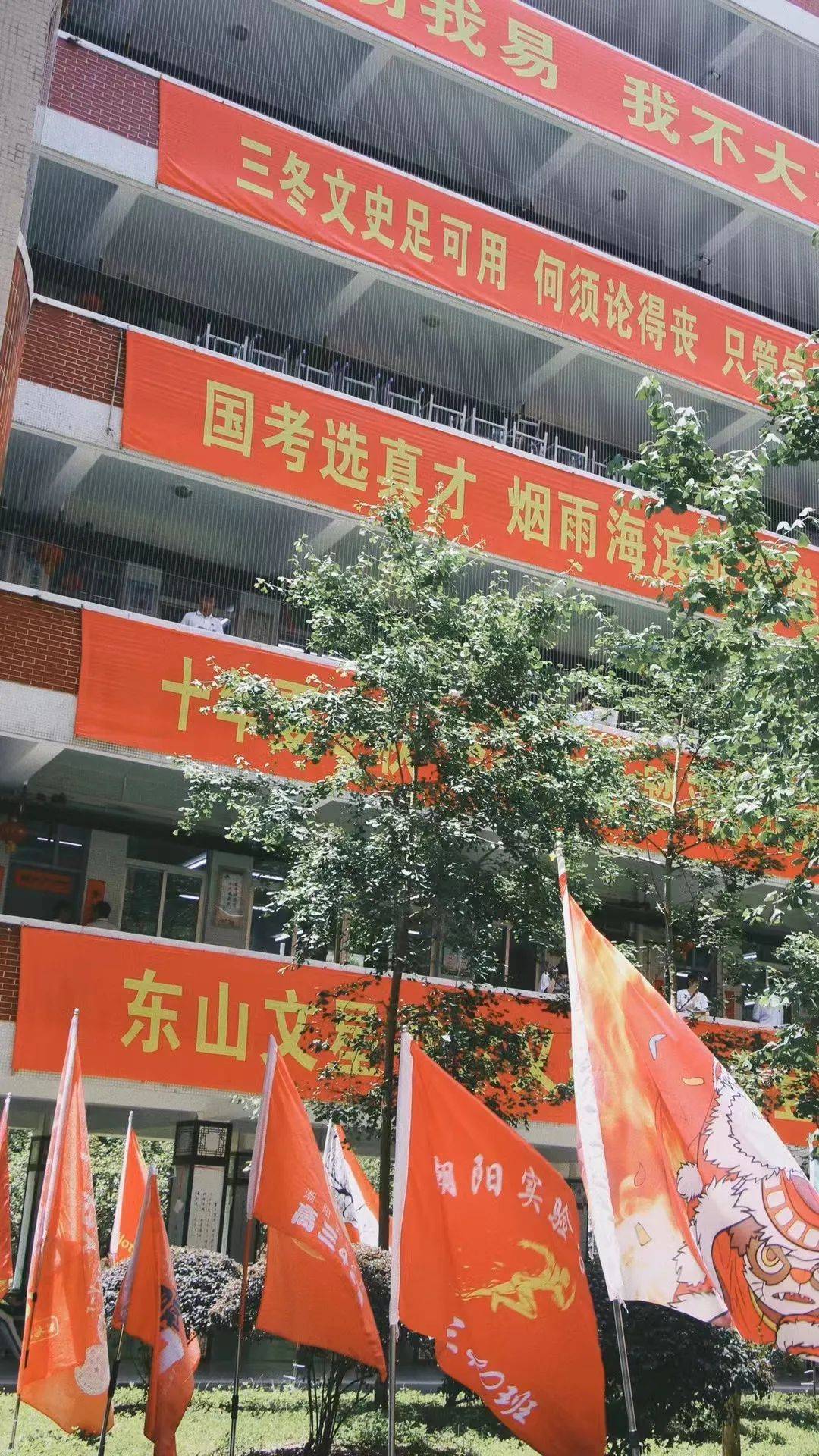 校园铁丝网<strong></p>
<p>币托网</strong>，能托住下坠的孩子吗
