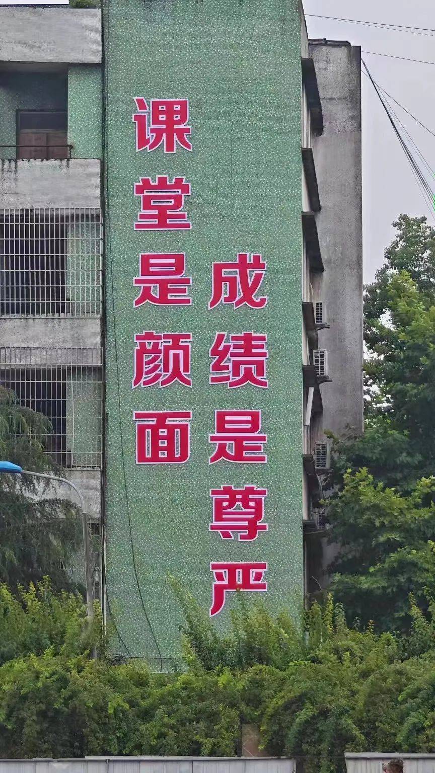 校园铁丝网<strong></p>
<p>币托网</strong>，能托住下坠的孩子吗