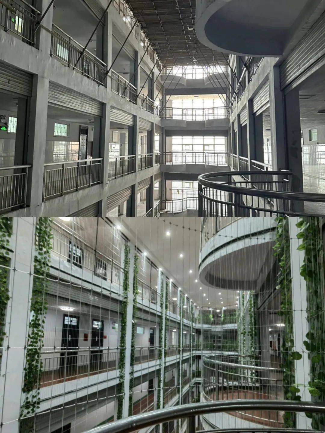 校园铁丝网<strong></p>
<p>币托网</strong>，能托住下坠的孩子吗