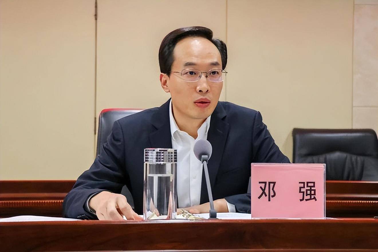 县长被查后<strong></p>
<p>原光币</strong>，县委原书记张光全主动投案