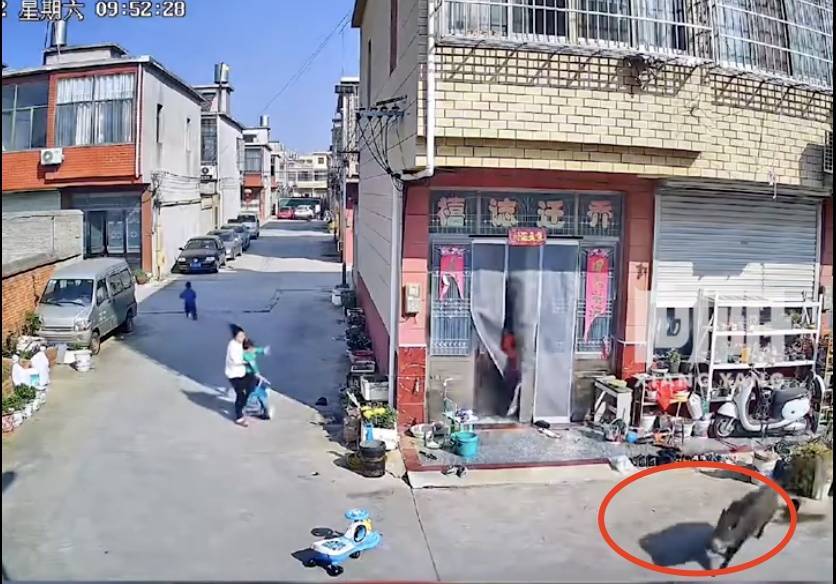 不是上海<strong></p>
<p>币为网</strong>！不是上海！不是上海！最新：已被特警击毙