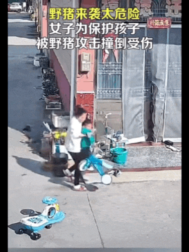 不是上海<strong></p>
<p>币为网</strong>！不是上海！不是上海！最新：已被特警击毙