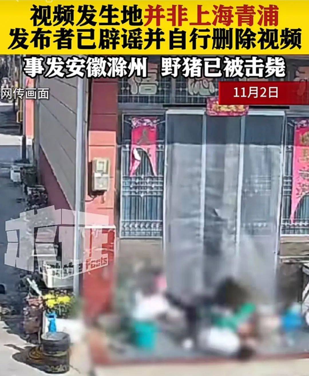 不是上海<strong></p>
<p>币为网</strong>！不是上海！不是上海！最新：已被特警击毙