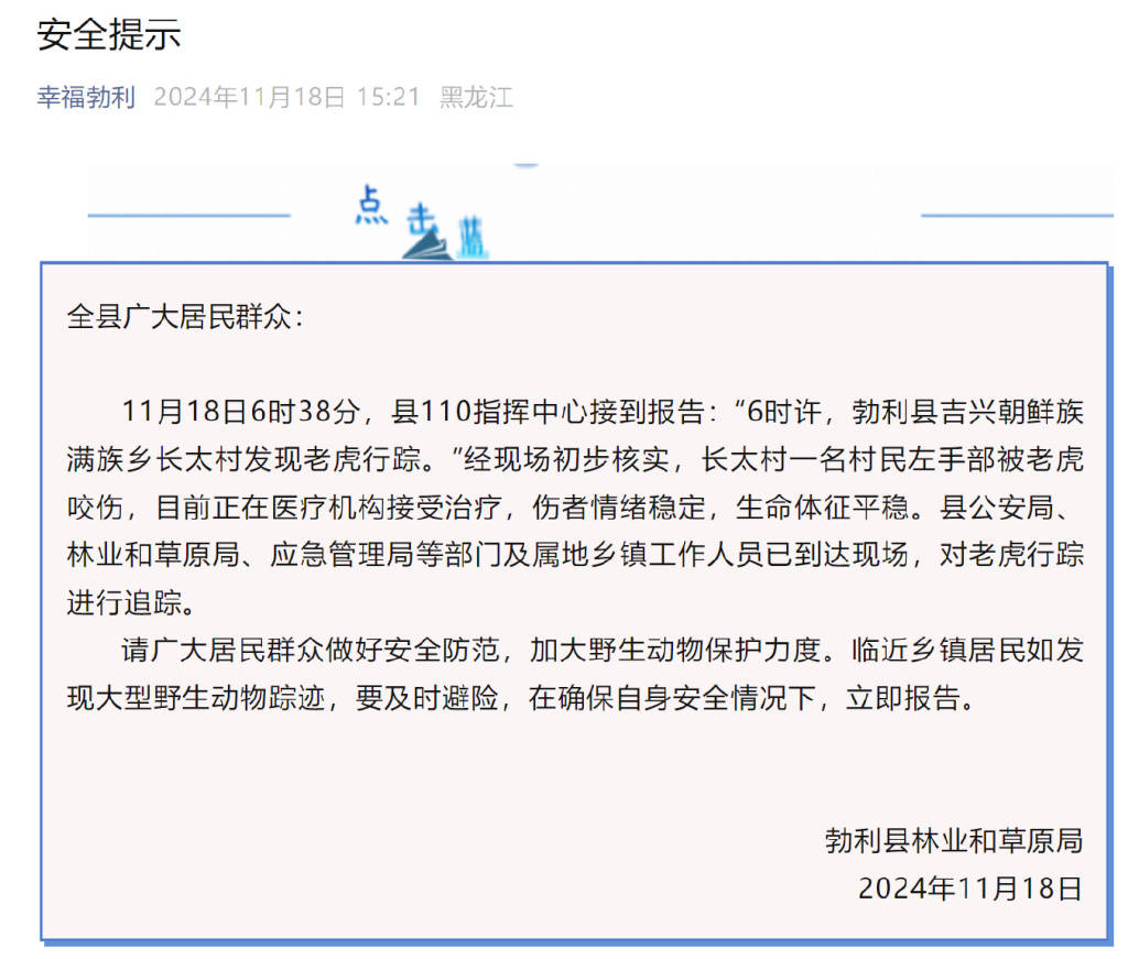 突发<strong></p>
<p>青年币</strong>！老虎进村咬伤村民！家属：有两只！最新消息→
