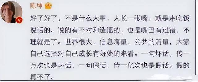 陈坤的儿子已成年<strong></p>
<p>安网币</strong>，容貌开始显现母亲的基因，像谁可以认得出吗？