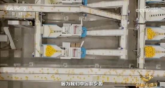 2024年末央视再度专访钟睒睒<strong></p>
<p>炒币吧</strong>，背后有何深意？
