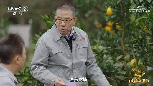 2024年末央视再度专访钟睒睒<strong></p>
<p>炒币吧</strong>，背后有何深意？