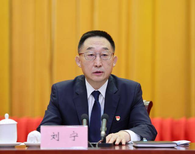 刘宁任河南省委书记<strong></p>
<p>快币多少钱</strong>，楼阳生因年龄原因不再担任