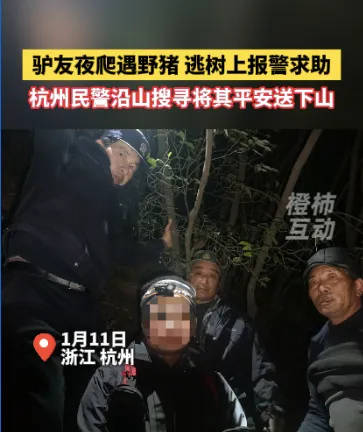 “我现在在树上<strong></p>
<p>小通币咚</strong>，野猪在下面……”杭州一男子深夜报警！