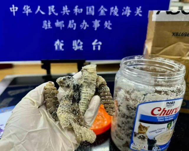 离谱！2.4斤生腌响尾蛇<strong></p>
<p>币购商城</strong>，被藏在零食罐里……
