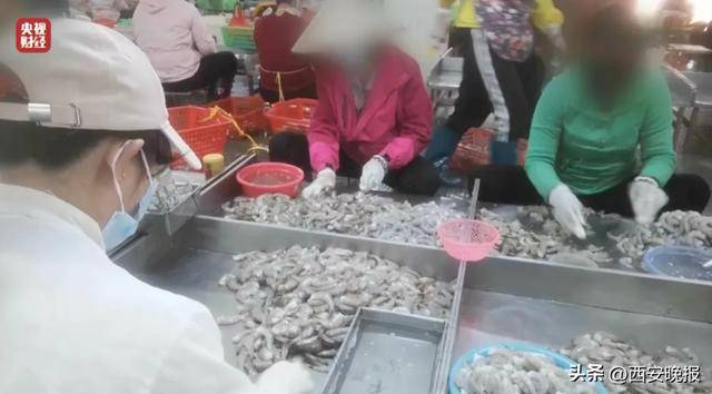 与辉同行或赔2000万<strong></p>
<p>盈币网</strong>，董宇辉曾称每个月检测费近百万