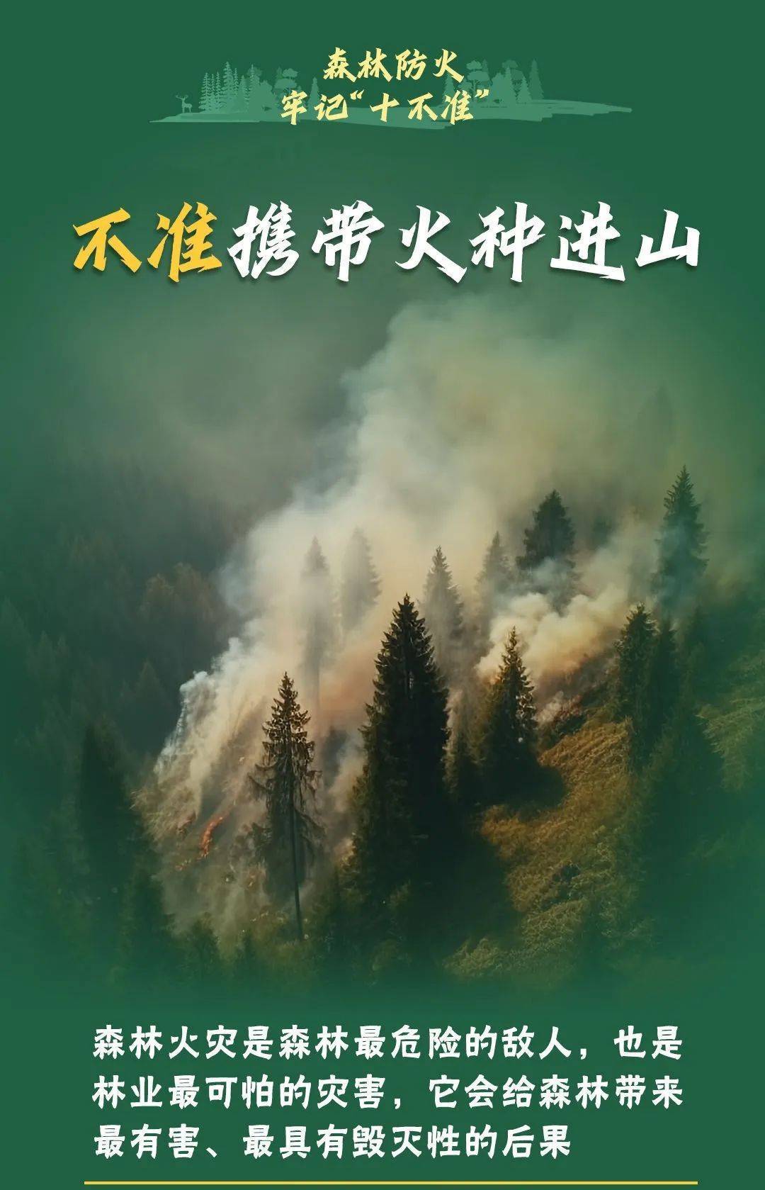 已致4名消防员遇难<strong></p>
<p>西藏币</strong>！多地进入“灾难状态”