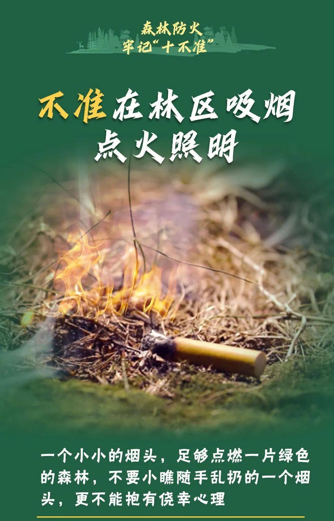 已致4名消防员遇难<strong></p>
<p>西藏币</strong>！多地进入“灾难状态”