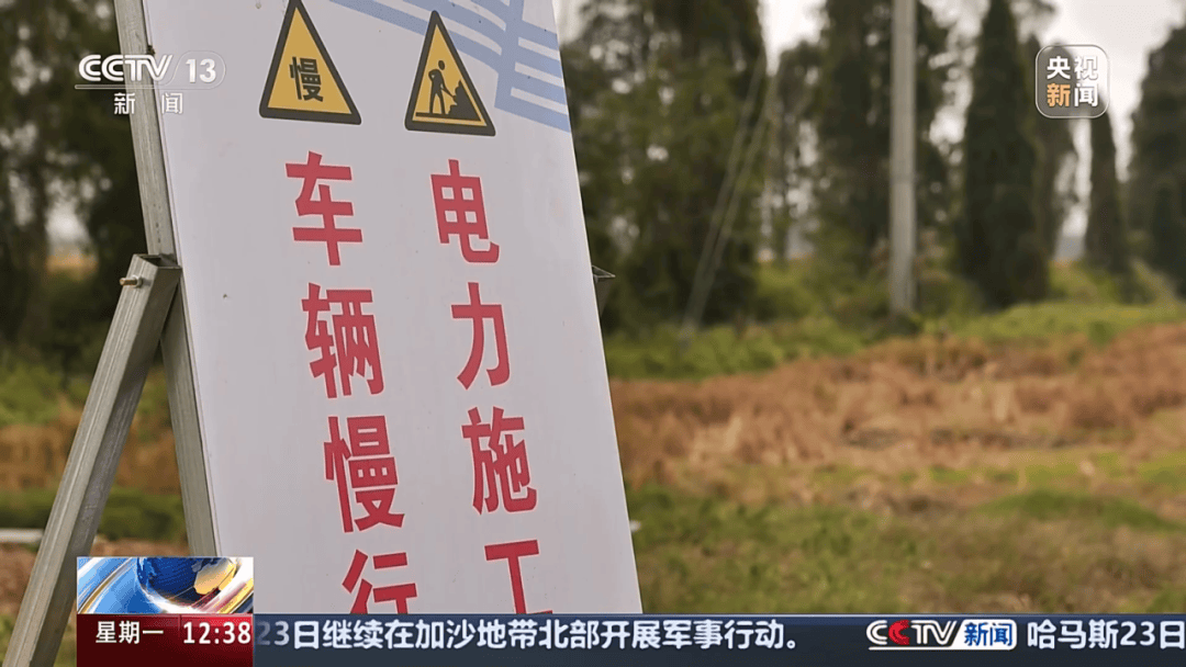 深圳女子被挂高压线！停电救援<strong></p>
<p>洛奇币</strong>，9池鱼死光！他怒上法庭……