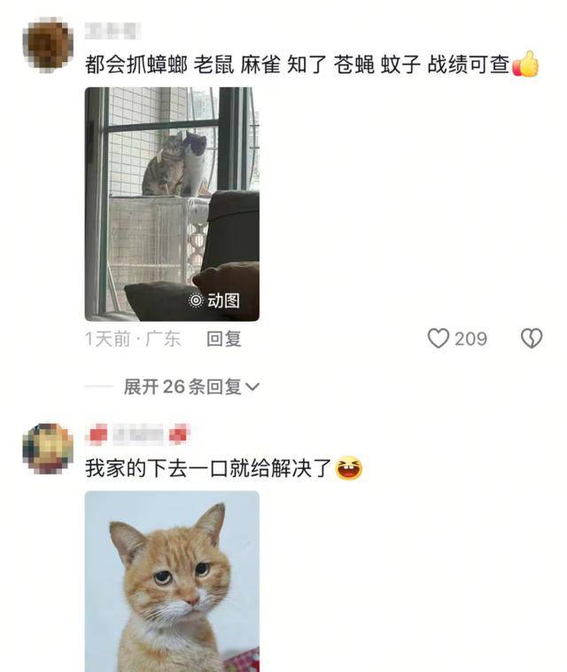 老鼠掉进泳池<strong></p>
<p>洛奇币</strong>，广东大叔出动鸡猫狗团队，结果全被老鼠吓跑！网友坐不住纷纷晒战绩