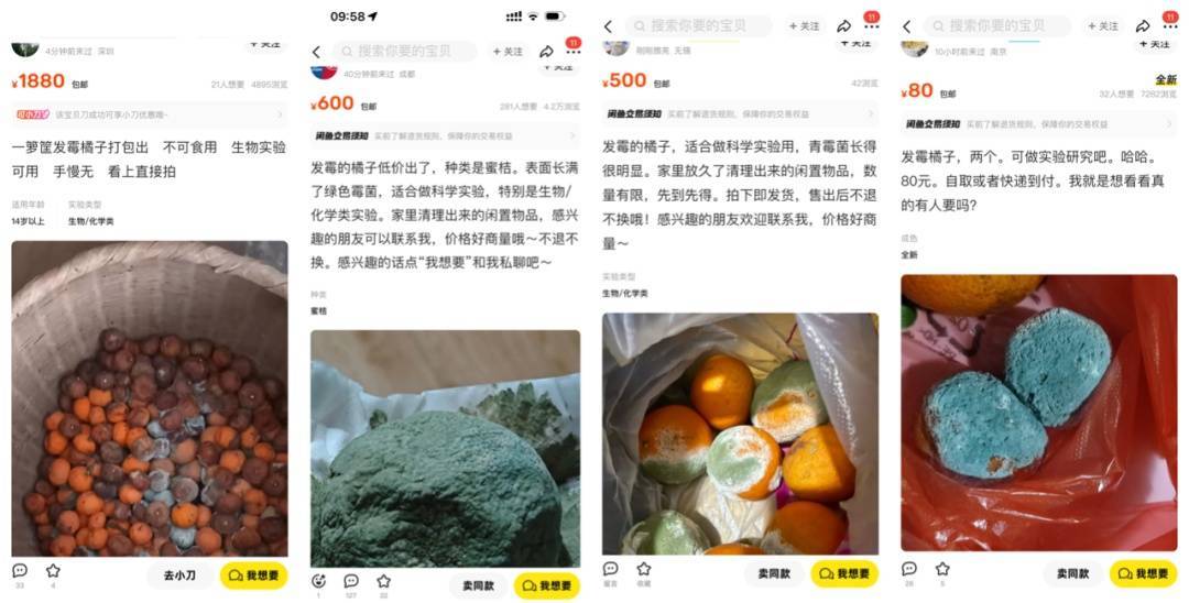 突然火了<strong></p>
<p>币乘</strong>！有人卖500元一个！网友：后悔扔了……
