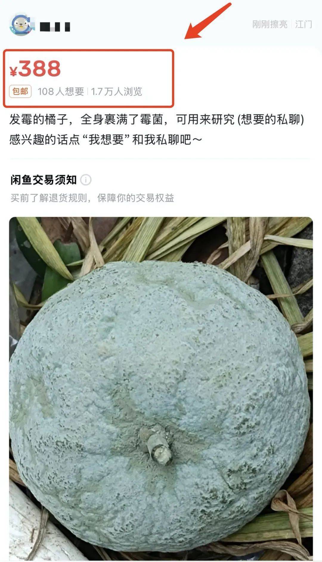 突然火了<strong></p>
<p>币乘</strong>！有人卖500元一个！网友：后悔扔了……