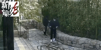 太猖狂！事发上海迪士尼<strong></p>
<p>币村</strong>，7人被刑拘