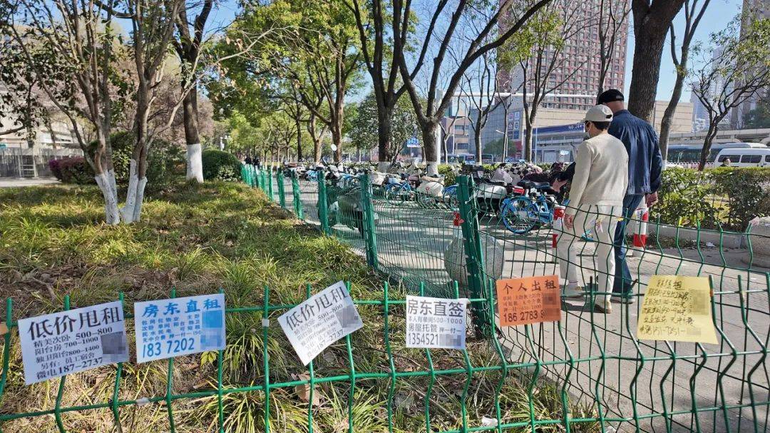 一二线城市房租普降<strong></p>
<p>币村</strong>，房东主动降200留我