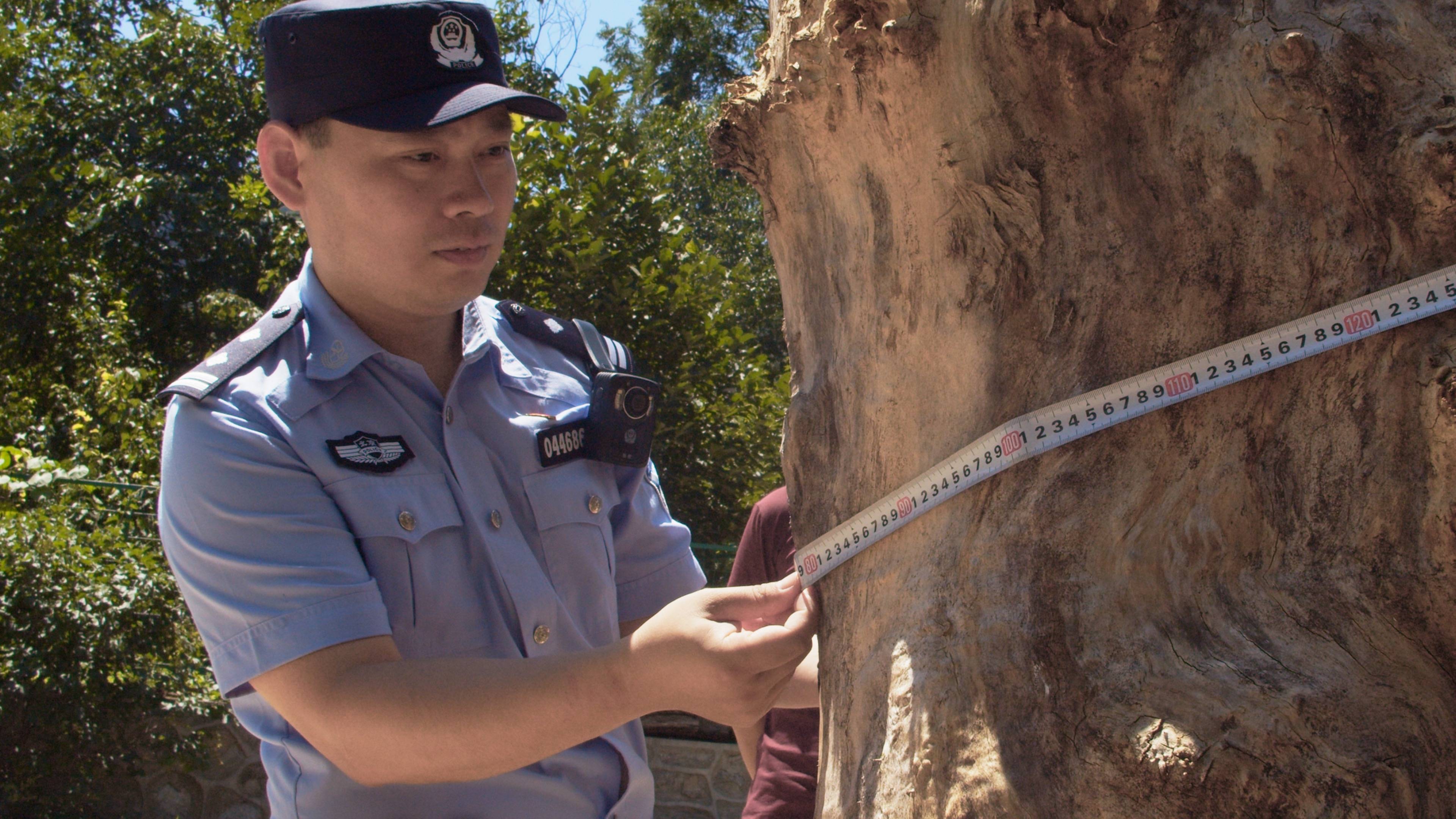 森林警察韩孟祺：乔装成驴友潜伏密林中<strong></p>
<p>币乎价格</strong>，抓获“粘鸟”嫌疑人