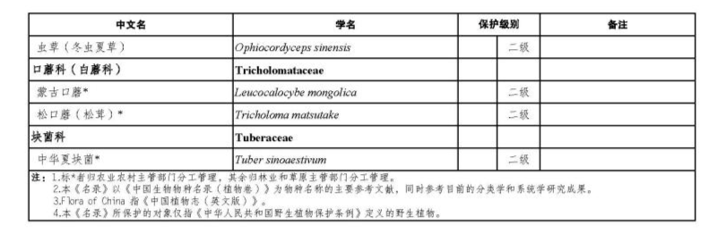 价值18万余元！男子在祁连山非法收购5632根冬虫夏草<strong></p>
<p>币然公社</strong>，构成危害国家重点保护植物罪获刑
