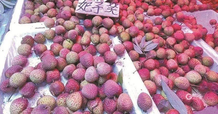 大跳水<strong></p>
<p>联邦币</strong>，暴跌40%！老板：一天一个价，估计还要跌