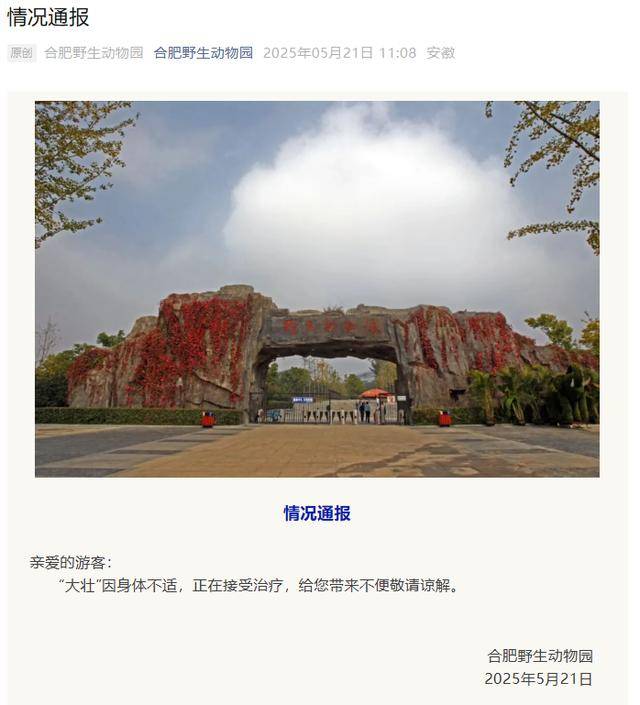 网红猴“大壮”突然离世<strong></p>
<p>戈币</strong>！曾因方脸“丑”出圈