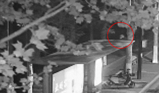 江苏一男子戴仿真“人皮”面具入室盗窃<strong></p>
<p>染色币</strong>，流窜多个小区作案，涉案金额达15万余元
