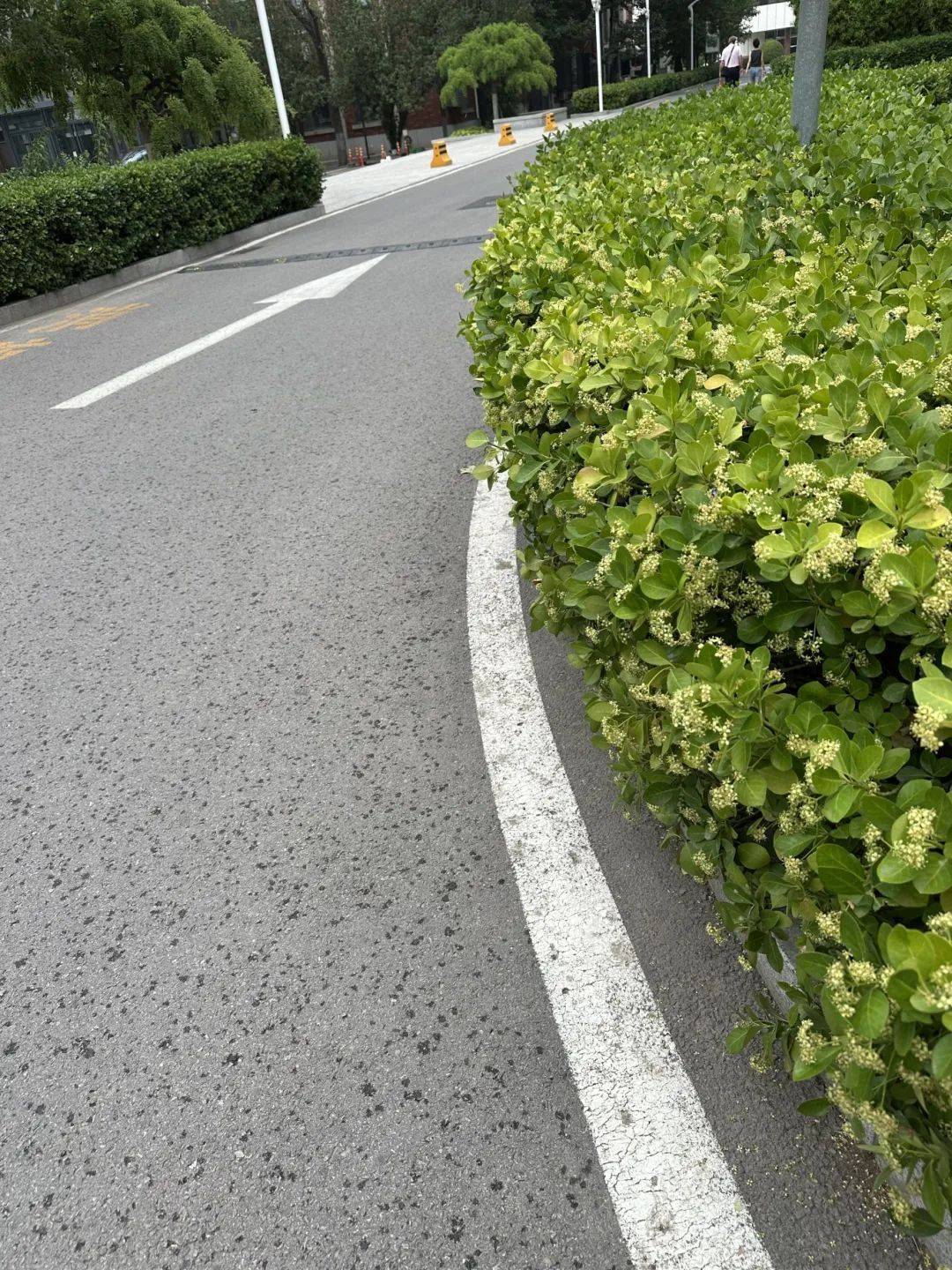 下雨了<strong></p>
<p>心币</strong>！天津接下来十天都是……