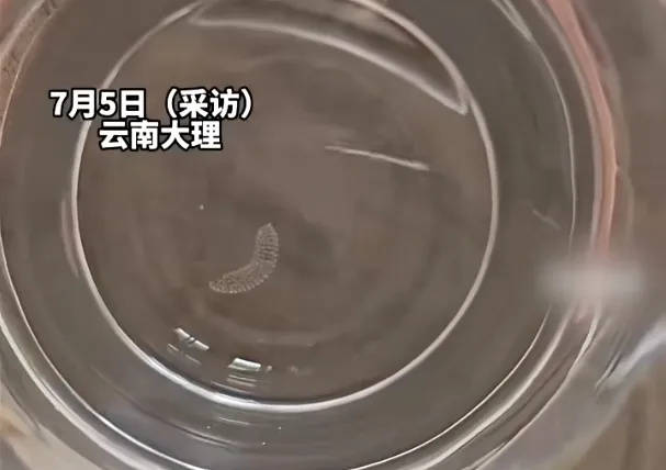 女子喝了隔夜水里的蚊子卵<strong></p>
<p>币期</strong>！专家：没事