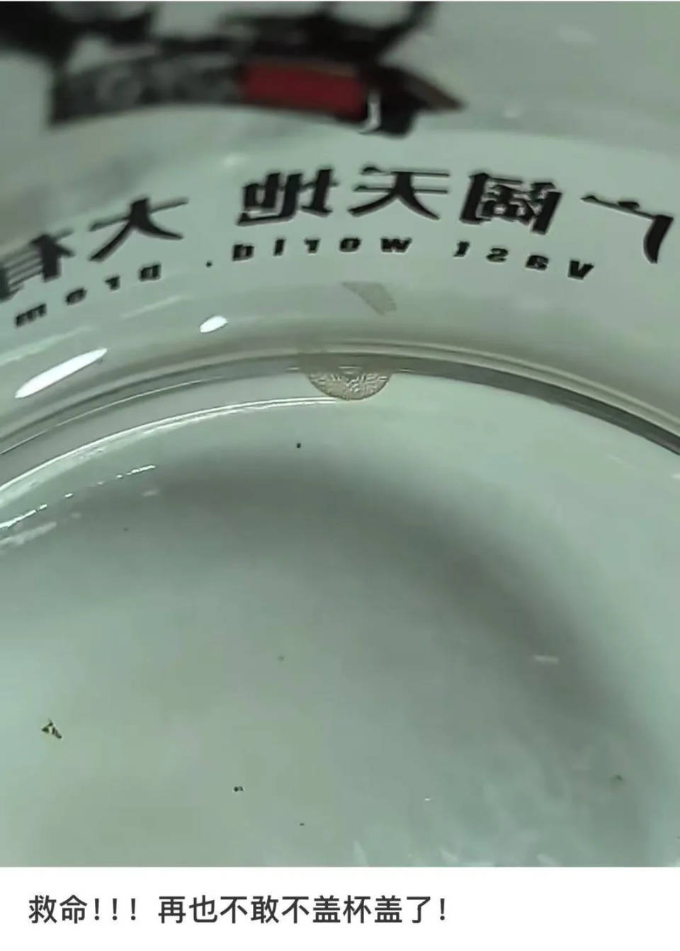 女子喝了隔夜水里的蚊子卵<strong></p>
<p>币期</strong>！专家：没事