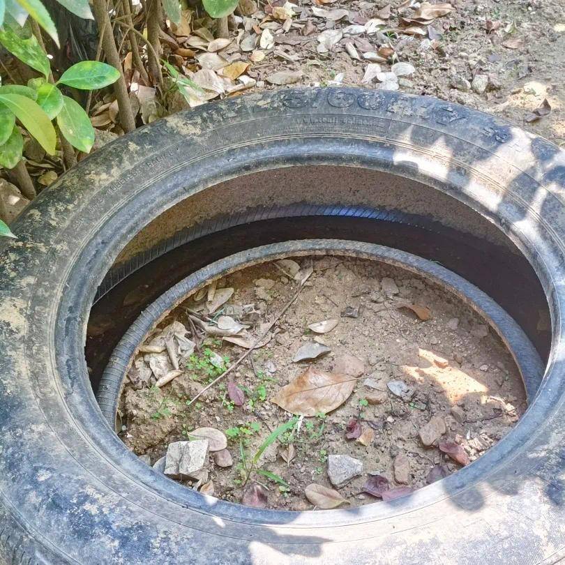 青岛疾控最新提醒：全民行动<strong></p>
<p>清币</strong>！翻盆倒罐、清除积水！