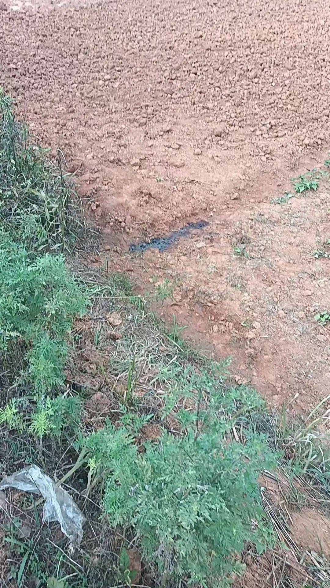 工人被误当猎物枪击身亡<strong></p>
<p>中币新网址</strong>，警方通报：屈某某、罗某某被刑拘