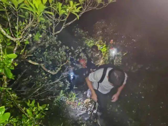 每人罚款5000元<strong></p>
<p>玩币时代</strong>！深圳开出全国首张罚单
