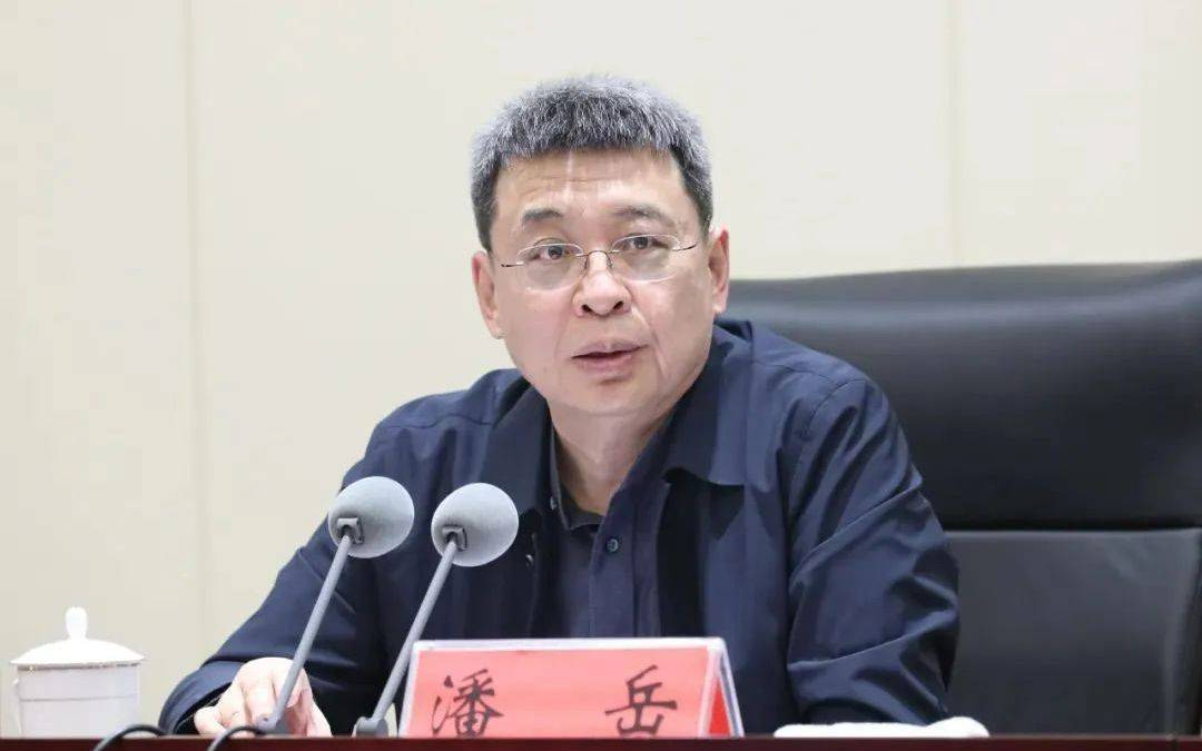 正部级潘岳<strong></p>
<p>sic币</strong>，有新职
