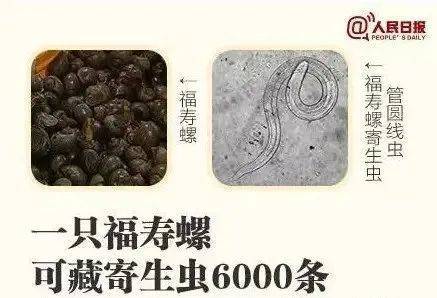 别吃！寄生虫多达6000条！浙江一地大量出现<strong></p>
<p>sic币</strong>，看到立刻上报