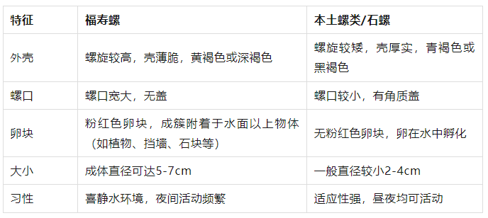别吃！寄生虫多达6000条！浙江一地大量出现<strong></p>
<p>sic币</strong>，看到立刻上报