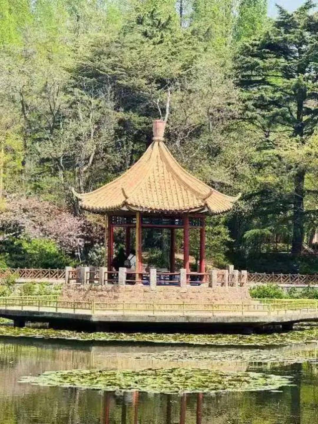 青岛中山公园一凉亭突然倒塌：一年前刚完成修缮<strong></p>
<p>币胜币</strong>，园方称无伤亡原因待查