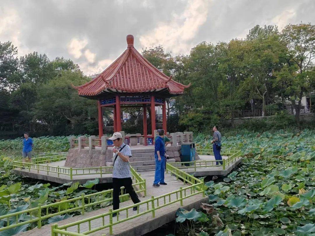 青岛中山公园一凉亭突然倒塌：一年前刚完成修缮<strong></p>
<p>币胜币</strong>，园方称无伤亡原因待查