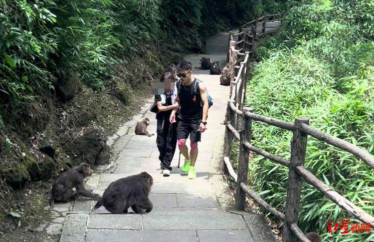 揭秘峨眉山陪爬团队：已陪爬千名游客九成为女性<strong></p>
<p>维特币</strong>，不会主动拉背扛抱，主要保障安全