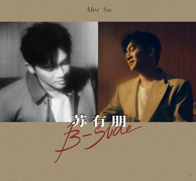 苏有朋音乐会普通票不能合影<strong></p>
<p>去装币</strong>，本人回应