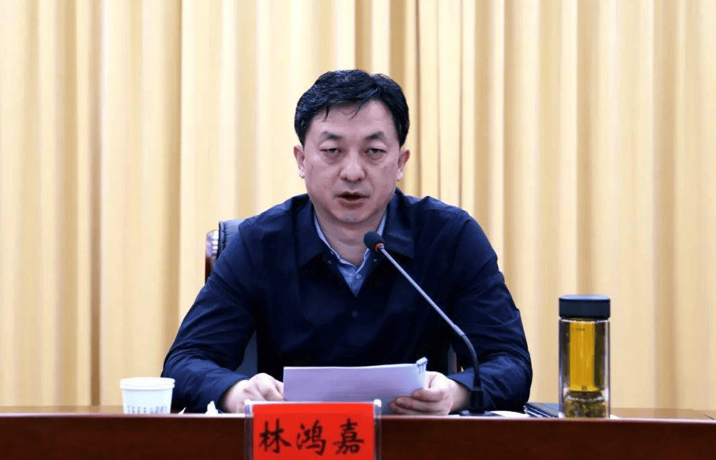 鹤壁市常务副市长林鸿嘉<strong></p>
<p>币君网</strong>，被罢免市人大代表职务